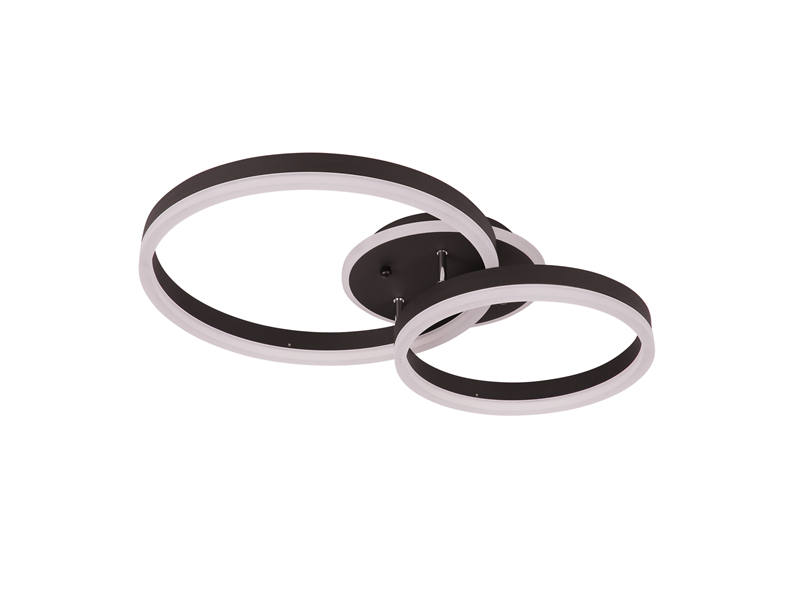 Modern Black LED Ceiling Light