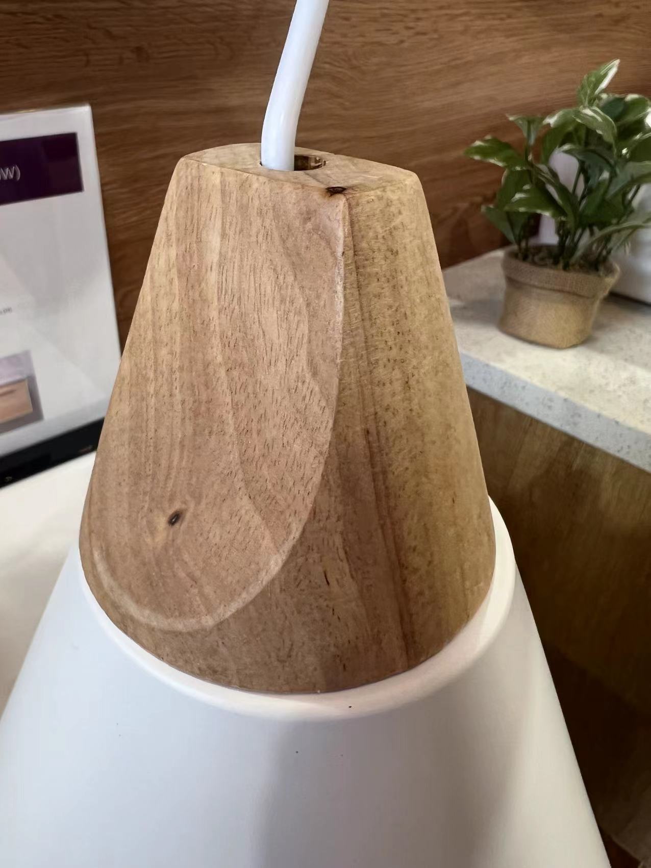 PL01W PENDENT LIGHT