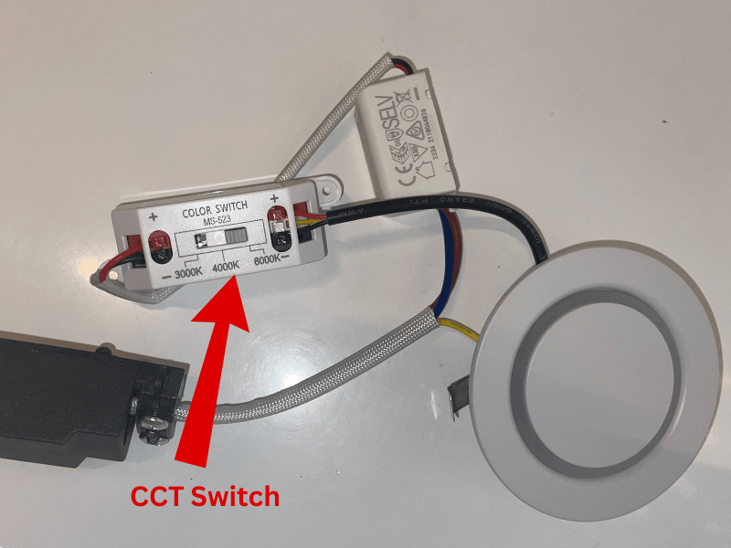 s101-w-cct-back